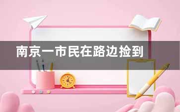 南京一市民在路边捡到北极狐 去南极的路上被截胡了？(南京一市民在路边捡到北极狐)
